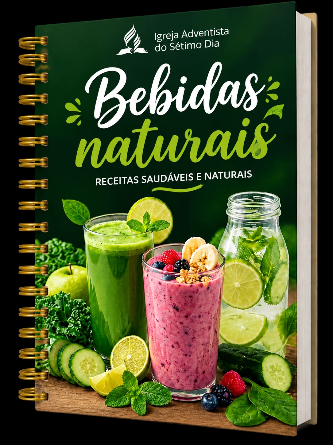 Bebidas Naturais